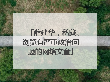 薛建华，私藏、浏览有严重政治问题的网络文章