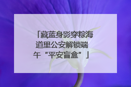 藏蓝身影穿粽海 道里公安解锁端午“平安盲盒”