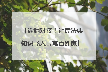 诉调对接！让民法典知识飞入寻常百姓家
