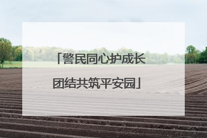 警民同心护成长 团结共筑平安园