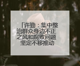 许勤：集中整治群众身边不正之风和腐败问题 坚定不移推动全面从严治党向基层延伸