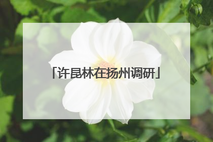 许昆林在扬州调研