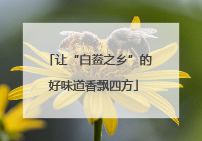 让“白鲞之乡”的好味道香飘四方