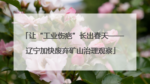 让“工业伤疤”长出春天——辽宁加快废弃矿山治理观察