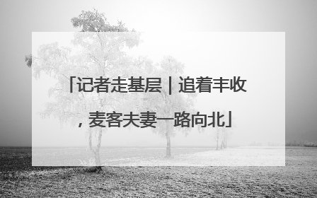 记者走基层｜追着丰收，麦客夫妻一路向北