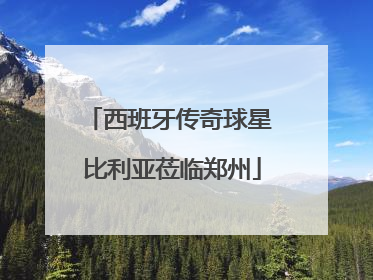 西班牙传奇球星 比利亚莅临郑州