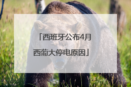 西班牙公布4月西葡大停电原因
