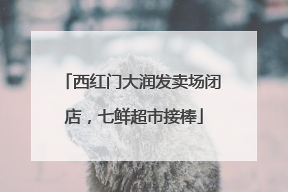 西红门大润发卖场闭店，七鲜超市接棒