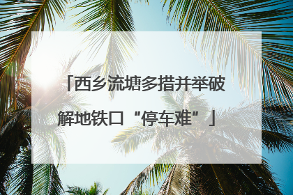 西乡流塘多措并举破解地铁口“停车难”