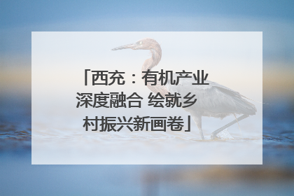 西充：有机产业深度融合 绘就乡村振兴新画卷