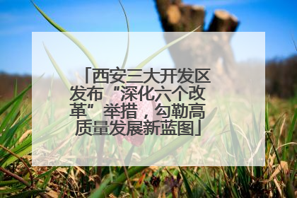 西安三大开发区发布“深化六个改革”举措，勾勒高质量发展新蓝图
