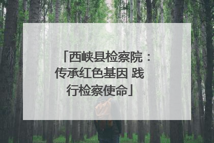 西峡县检察院：传承红色基因 践行检察使命