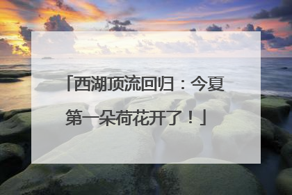 西湖顶流回归：今夏第一朵荷花开了！