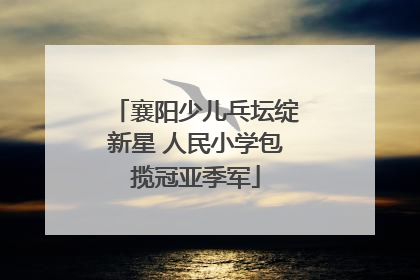 襄阳少儿乓坛绽新星 人民小学包揽冠亚季军