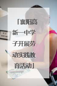 襄阳高新一中学子开展劳动实践教育活动