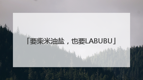 要柴米油盐，也要LABUBU