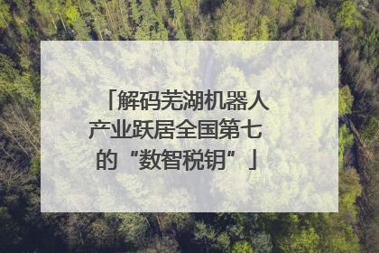 解码芜湖机器人产业跃居全国第七的“数智税钥”