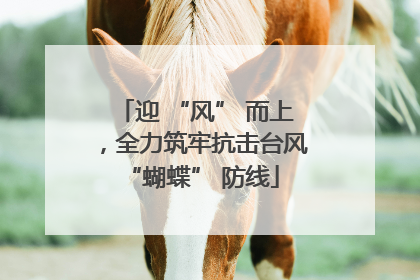 迎 “风” 而上，全力筑牢抗击台风 “蝴蝶” 防线