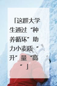 这群大学生通过“种养循环”助力小麦质“升”量“高”