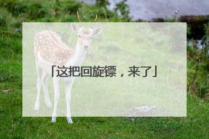 这把回旋镖，来了