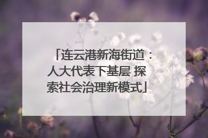 连云港新海街道：人大代表下基层 探索社会治理新模式