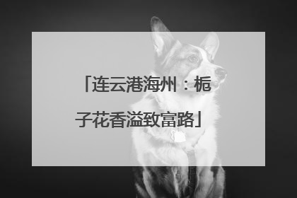 连云港海州：栀子花香溢致富路