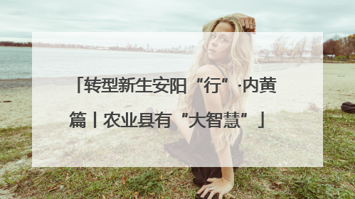 转型新生安阳“行”·内黄篇丨农业县有“大智慧”
