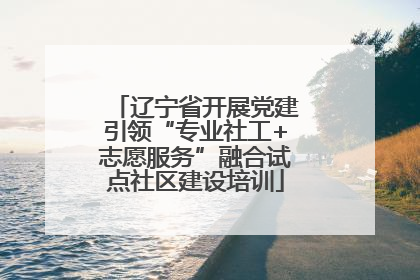 辽宁省开展党建引领“专业社工+志愿服务”融合试点社区建设培训