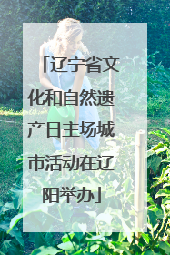 辽宁省文化和自然遗产日主场城市活动在辽阳举办