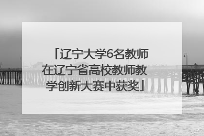 辽宁大学6名教师在辽宁省高校教师教学创新大赛中获奖