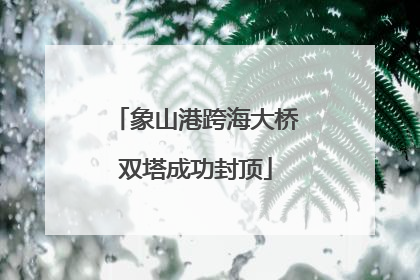 象山港跨海大桥双塔成功封顶