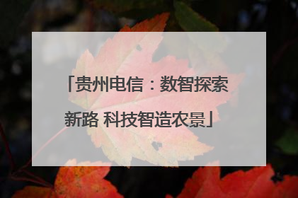 贵州电信：数智探索新路 科技智造农景