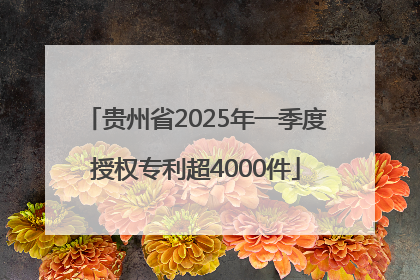 贵州省2025年一季度授权专利超4000件
