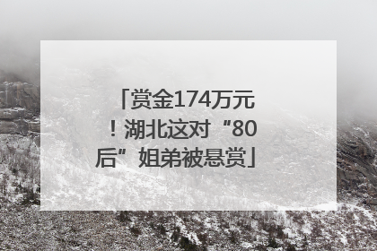 赏金174万元！湖北这对“80后”姐弟被悬赏