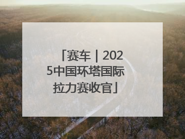 赛车｜2025中国环塔国际拉力赛收官