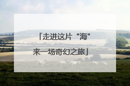 走进这片“海”来一场奇幻之旅