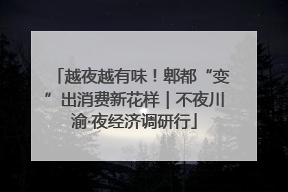 越夜越有味！郫都“变”出消费新花样｜不夜川渝·夜经济调研行