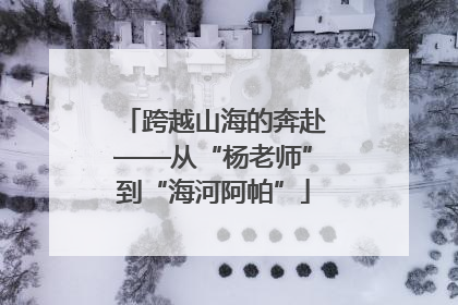 跨越山海的奔赴——从“杨老师”到“海河阿帕”