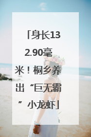身长132.90毫米！桐乡养出“巨无霸”小龙虾