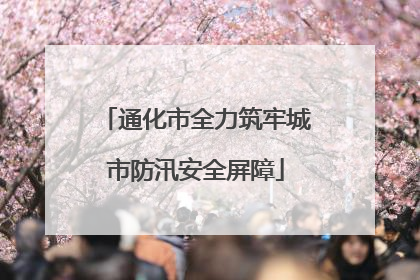 通化市全力筑牢城市防汛安全屏障