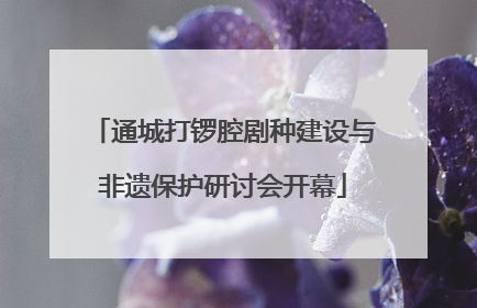 通城打锣腔剧种建设与非遗保护研讨会开幕