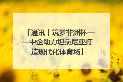 通讯丨筑梦非洲杯——中企助力坦桑尼亚打造现代化体育场