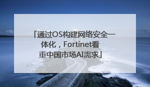通过OS构建网络安全一体化，Fortinet看重中国市场AI需求