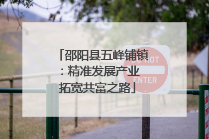 邵阳县五峰铺镇：精准发展产业 拓宽共富之路