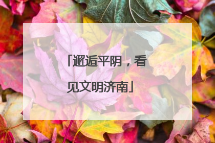 邂逅平阴，看见文明济南
