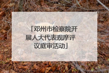 邓州市检察院开展人大代表观摩评议庭审活动