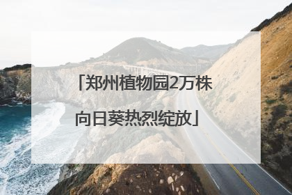 郑州植物园2万株向日葵热烈绽放