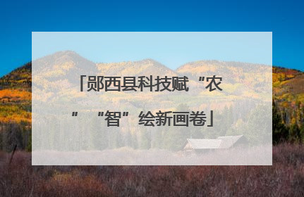 郧西县科技赋“农”“智”绘新画卷
