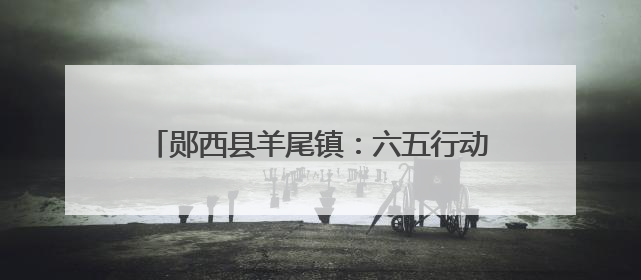 郧西县羊尾镇：六五行动护碧水 志愿服务守清波