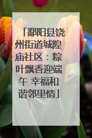 鄱阳县饶州街道城隍庙社区：粽叶飘香迎端午 幸福和谐邻里情